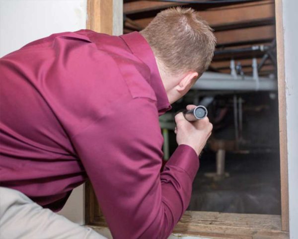 inspection of crawl space with a flash light