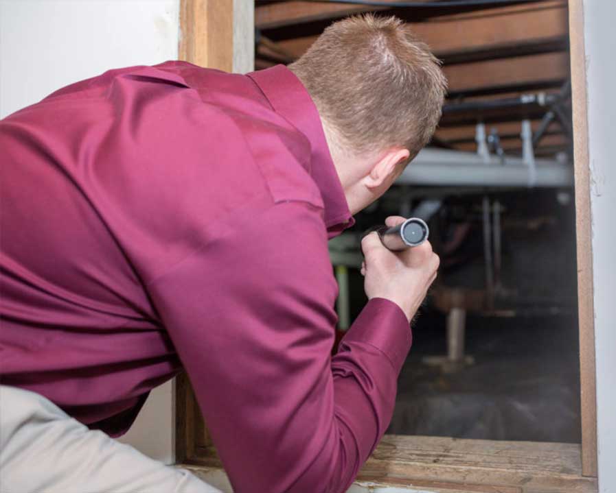 inspection of crawl space with a flash light
