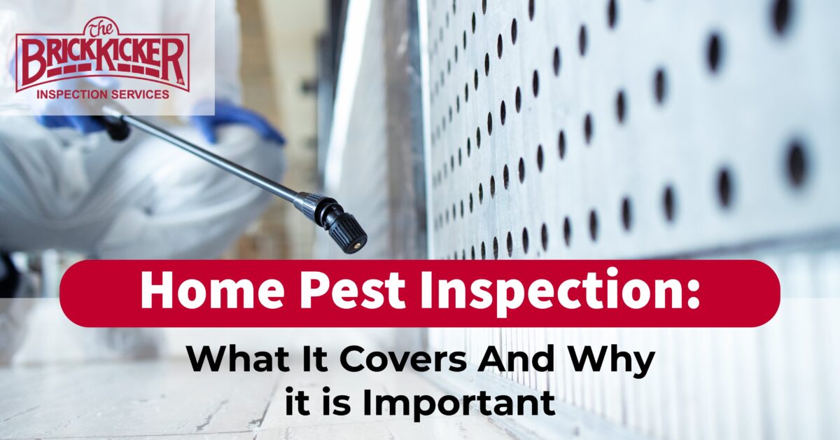 home pest inspection