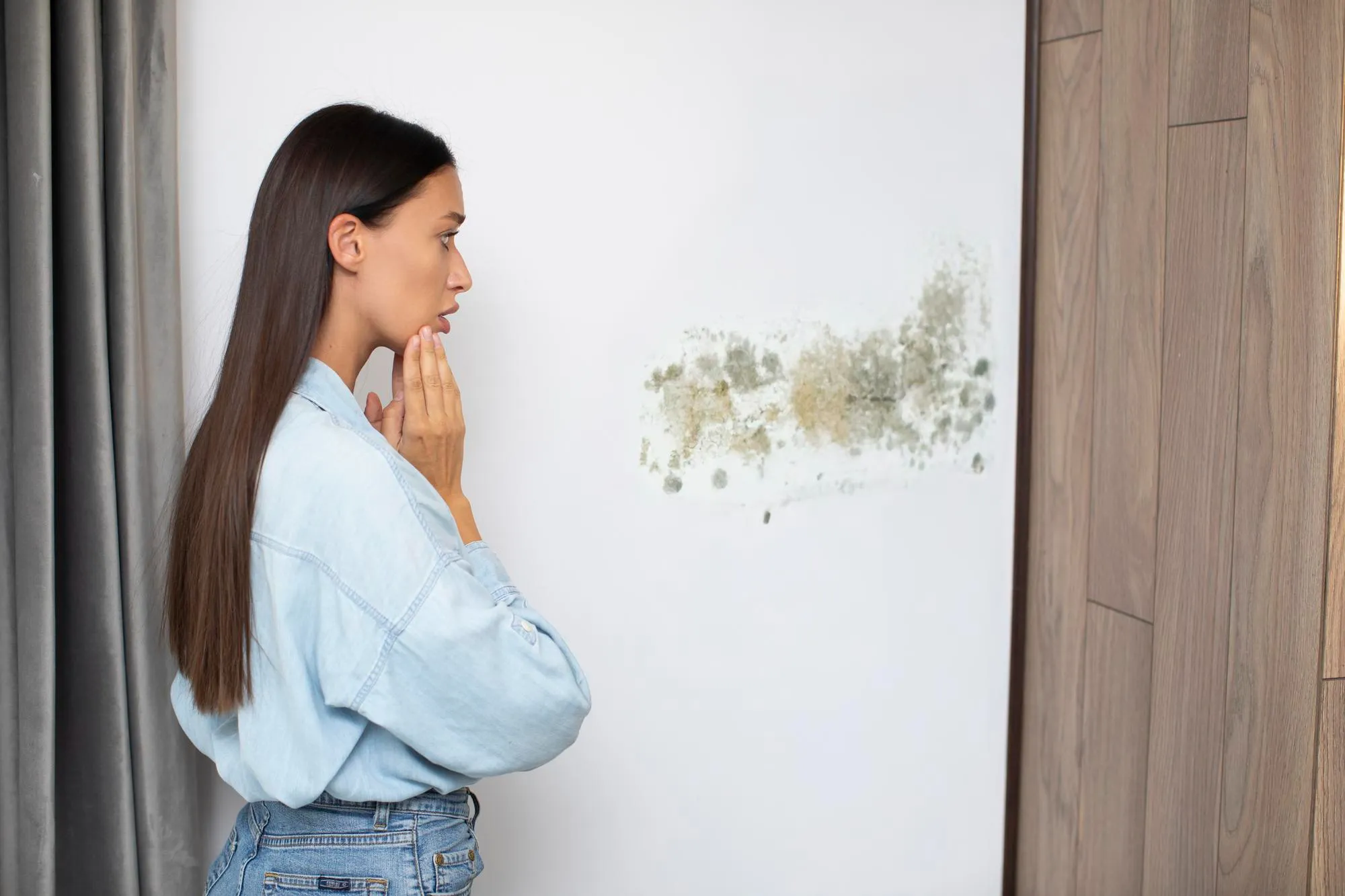 mold found in homes